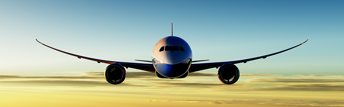 787 Dreamliner in flight