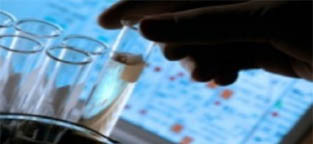 Test tubes.