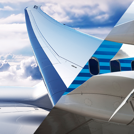 Graphic of airplane wing and airplane window